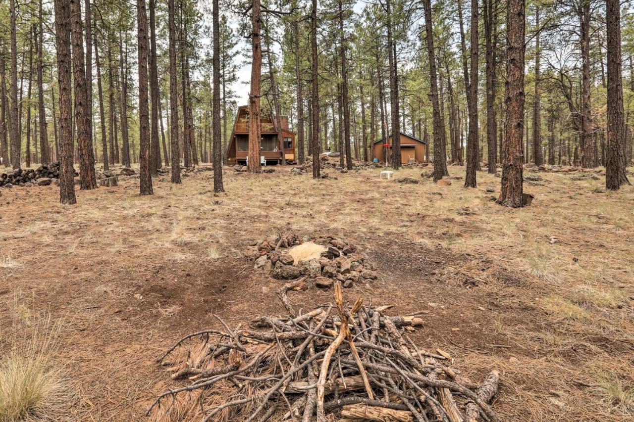 Cozy Cabin By Grand Canyon, Near National Forest Williams Εξωτερικό φωτογραφία
